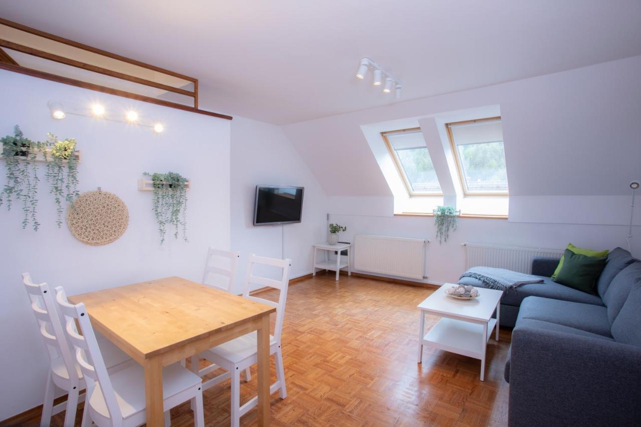 Duplex Apartment Panj 크라니스카고라 외부 사진