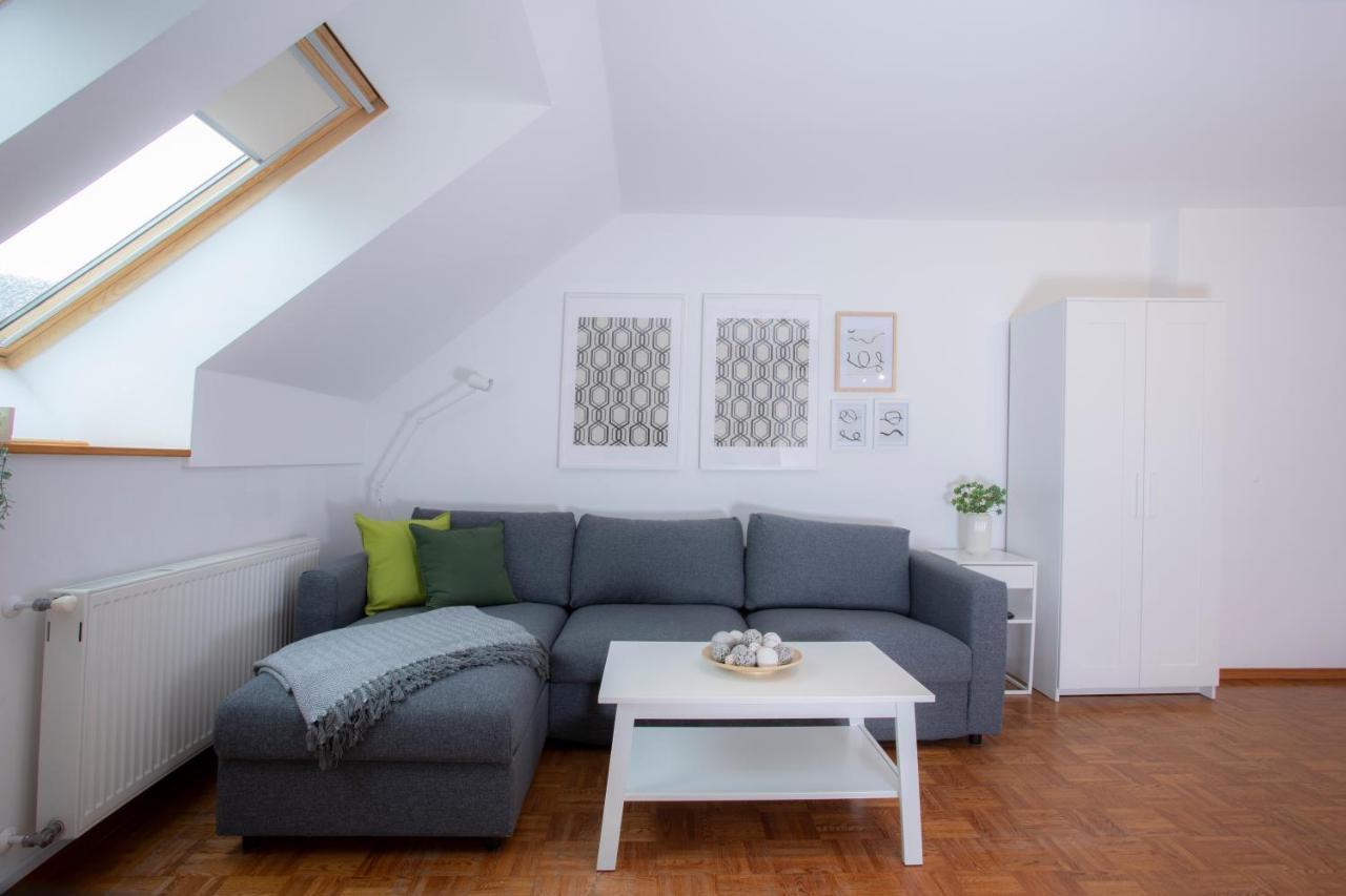 Duplex Apartment Panj 크라니스카고라 외부 사진